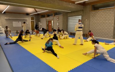 SelectionCompetition – Souplesse et accrobatie